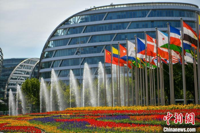 第五屆進博會場館景觀裝飾全面定妝。 陳夢澤 攝 第五屆進博會場館景觀裝飾全面定妝。 陳夢澤 攝