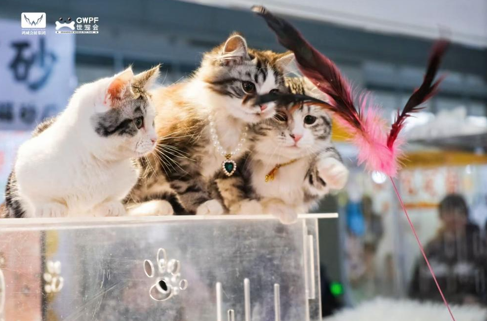 世寵會南京展 攝影 博軒.png